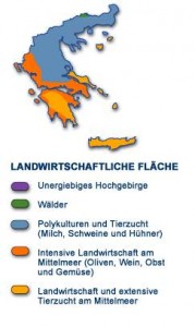 Landwirtschaft in Griechenland – Lakudia Olivenöl