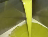 Lakudia Olivenölgewinnung